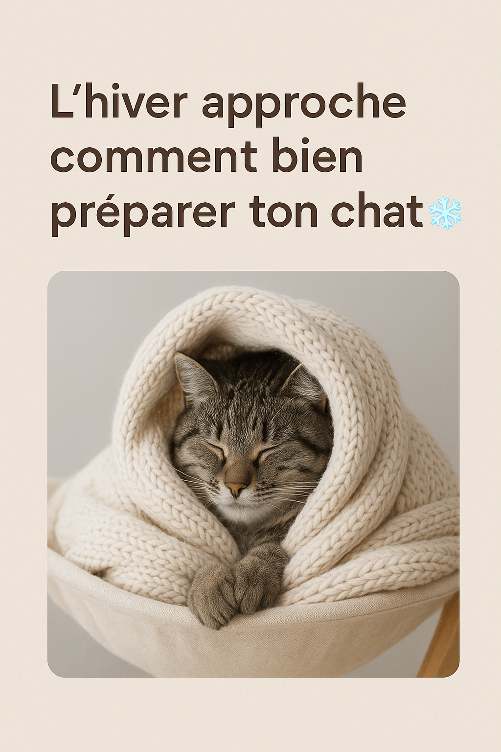 L’hiver approche : comment bien préparer ton chat ❄️ - Mi-a-ou
