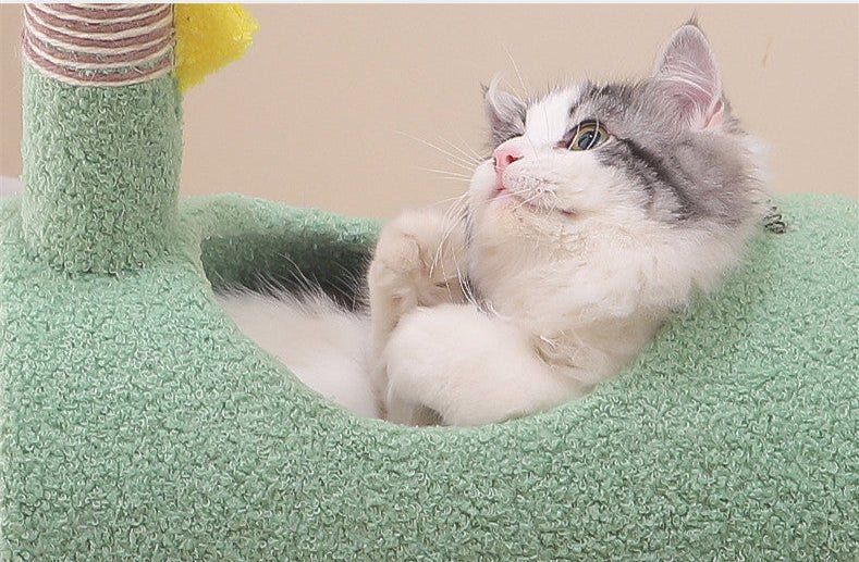 Arbre a chat design ArbraZoo™ - Mi - a - ou - Mi - a - ou