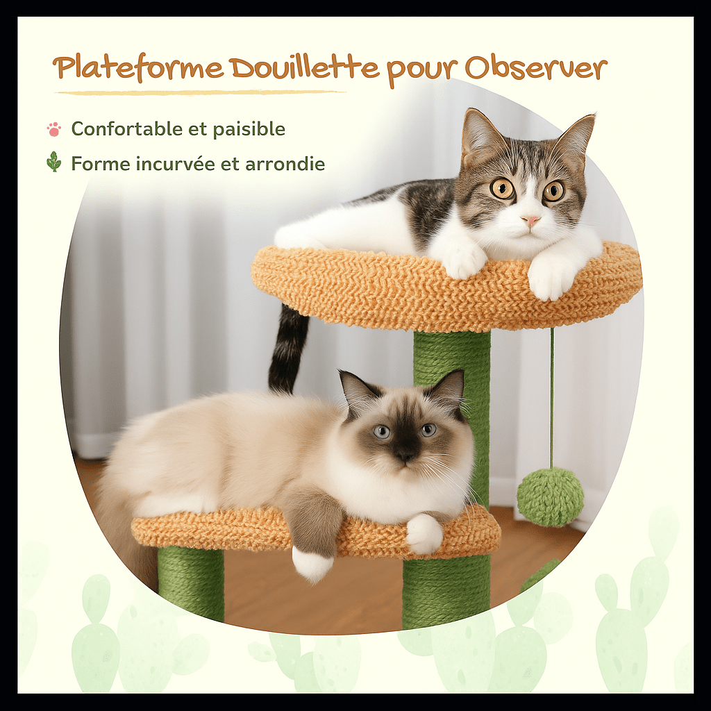 Arbre A Chat design CatVerde™ - Mi - a - ou