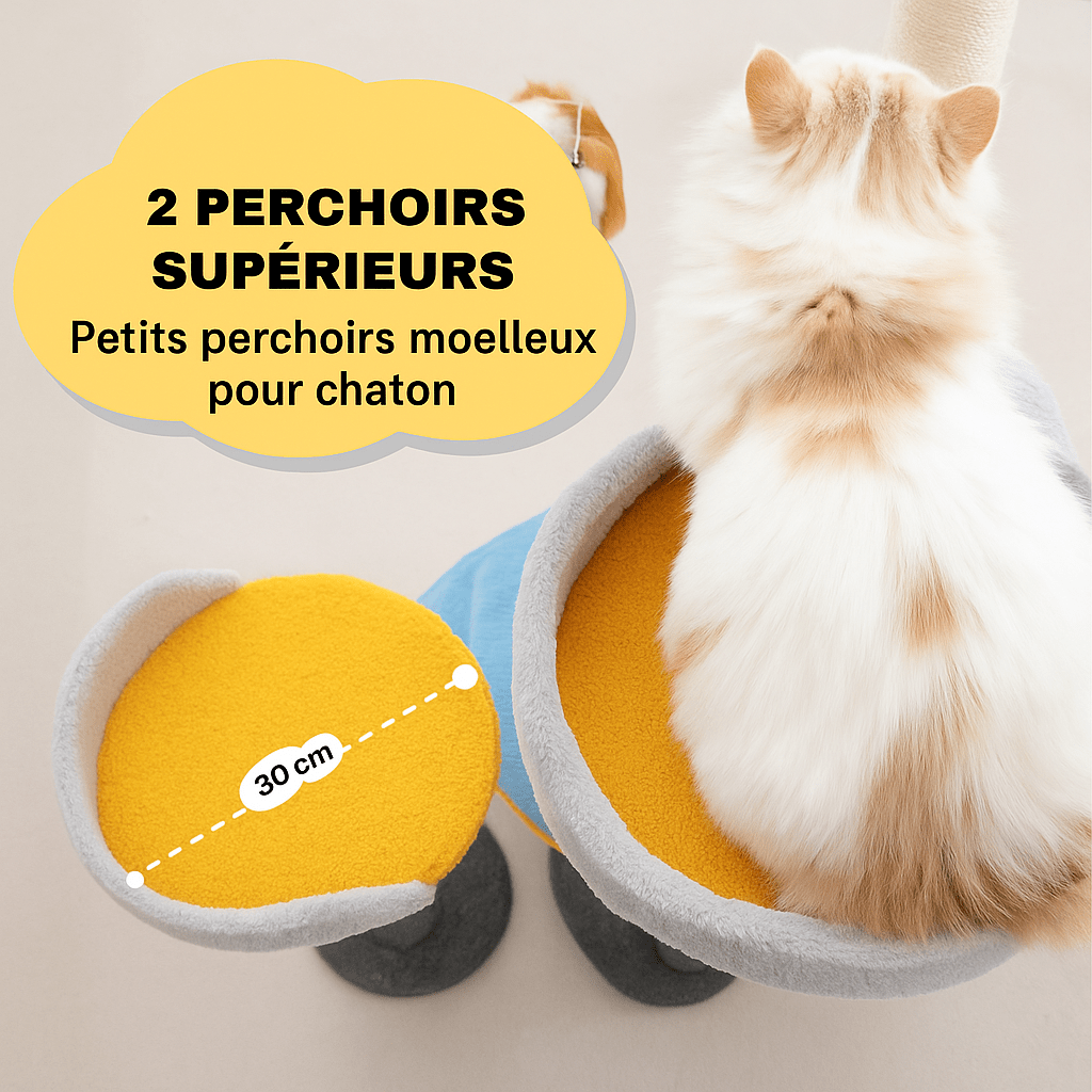 Arbre a chat GameDay™ Champion - Mi - a - ou