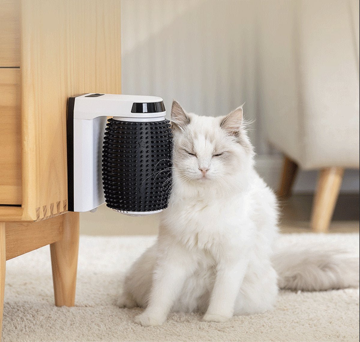 Grattoir Pour Chat Auto - Groomer - Mi - a - ou