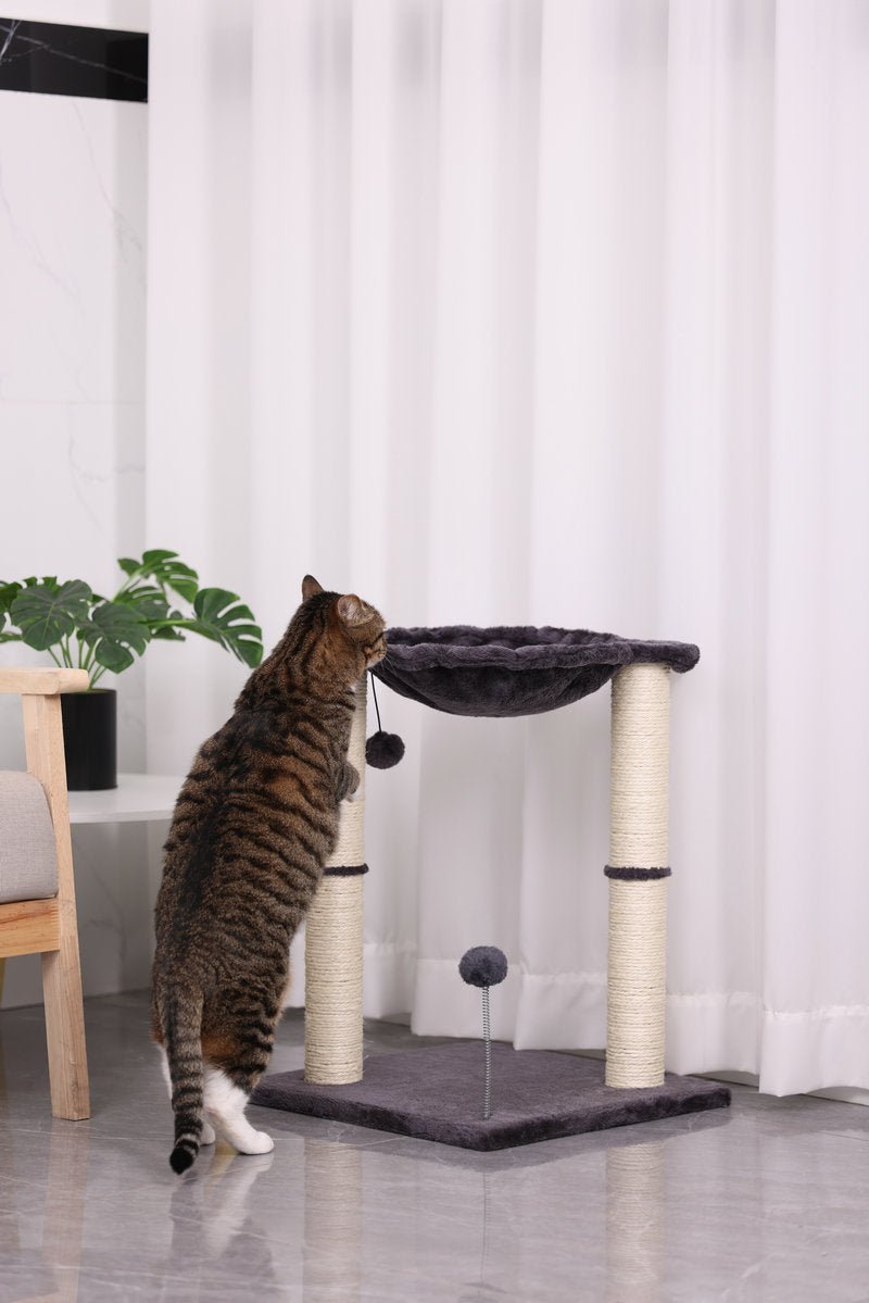 Griffoir Chat LazyScratcher - Mi - a - ou