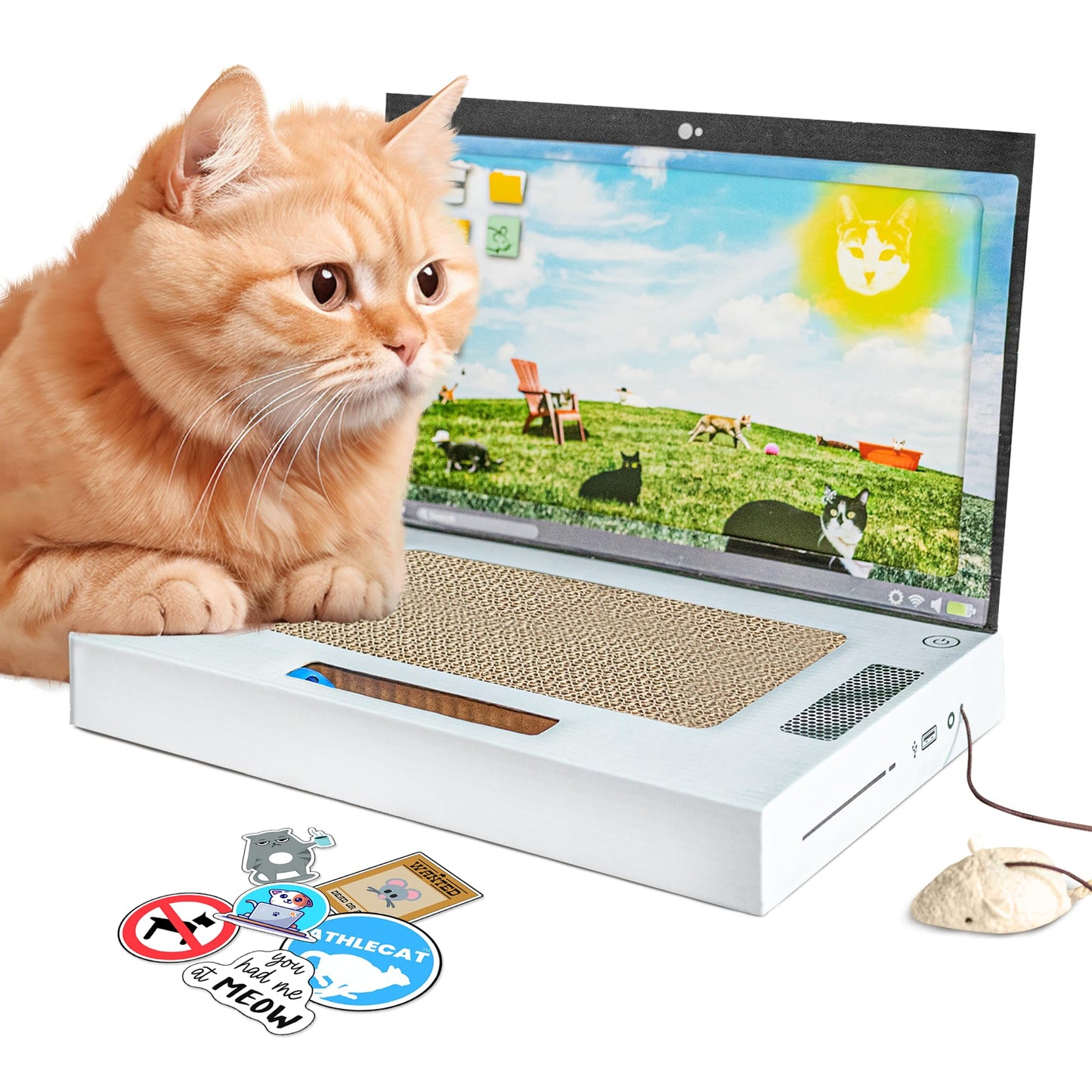 Griffoir Chat PurrBook Air - Mi - a - ou