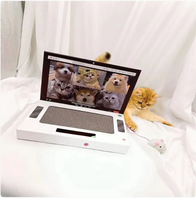 Griffoir Chat PurrBook Air - Mi - a - ou