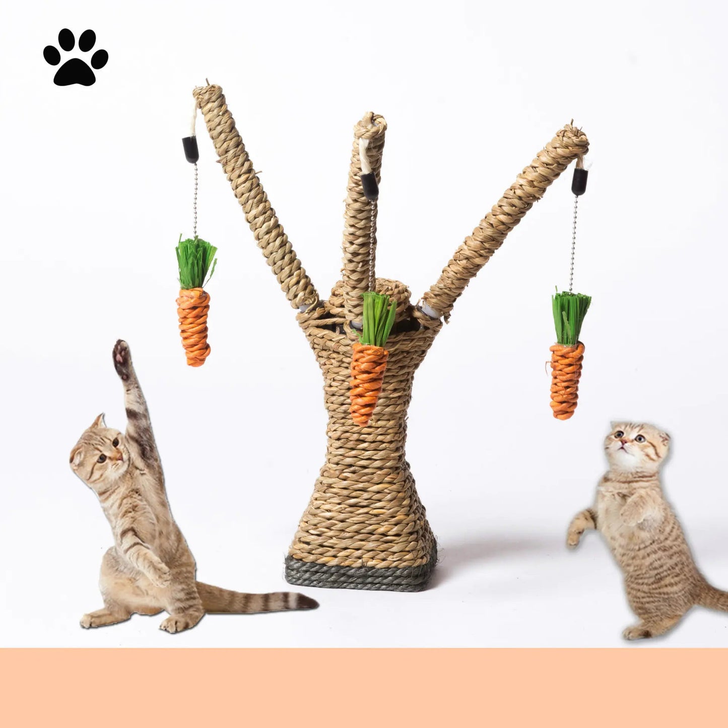 Griffoir Pour Chat FarmerCat - Mi - a - ou