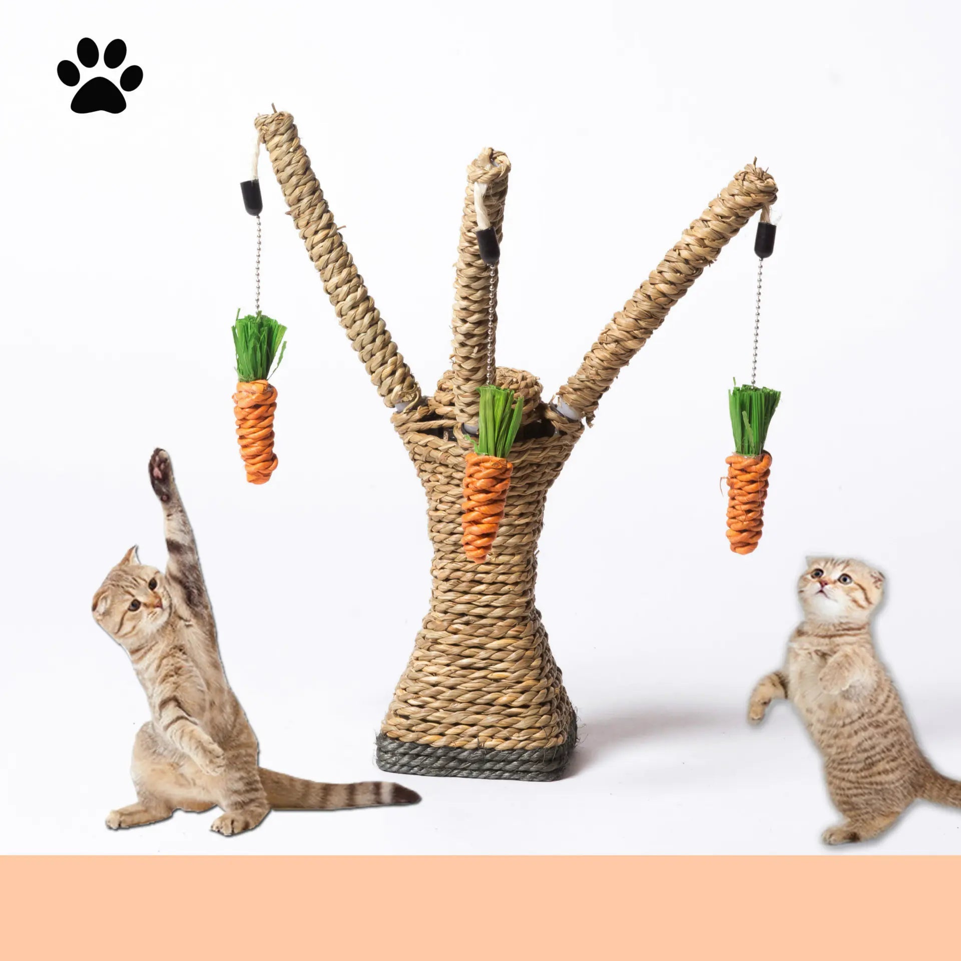 Griffoir Pour Chat FarmerCat - Mi - a - ou