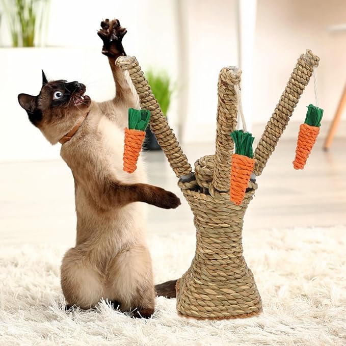 Griffoir Pour Chat FarmerCat - Mi - a - ou