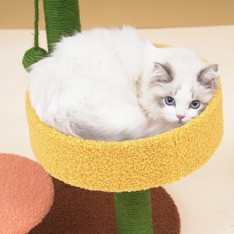 Griffoir pour chat Guac - a - Chat - Mi - a - ou