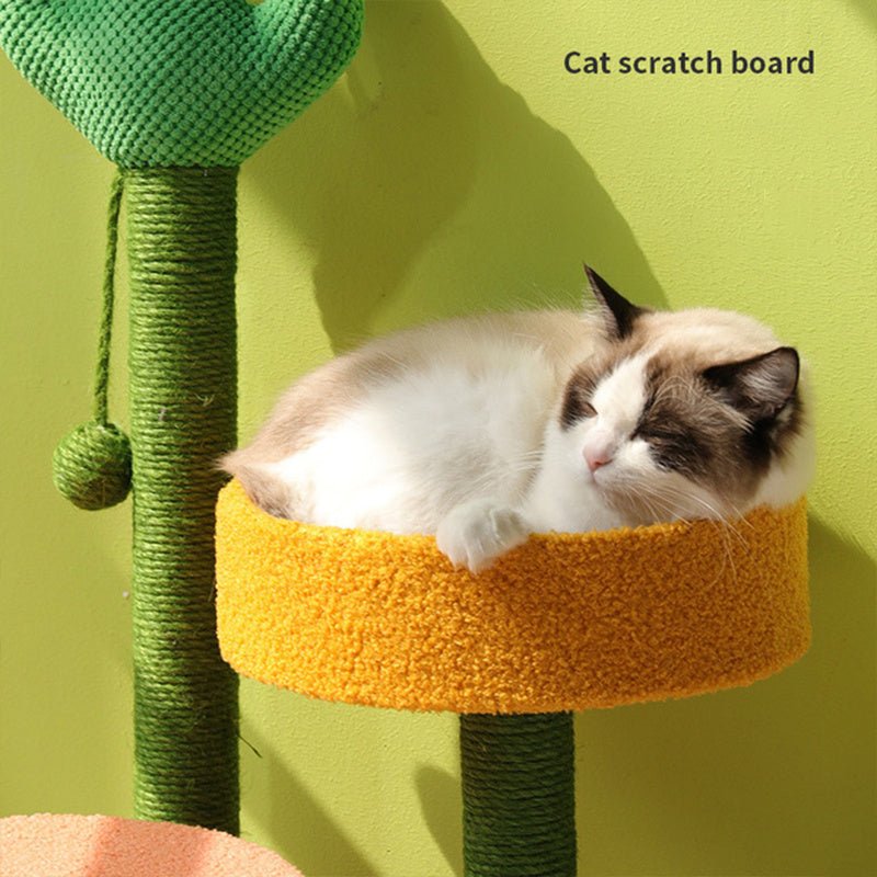 Griffoir pour chat Guac - a - Chat - Mi - a - ou