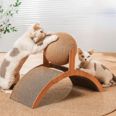 Griffoir pour Chat - Scratch&PlayCatBoard™ - Arc - Mi - a - ou
