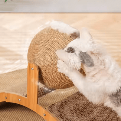 Griffoir pour Chat - Scratch&PlayCatBoard™ - Arc - Mi - a - ou