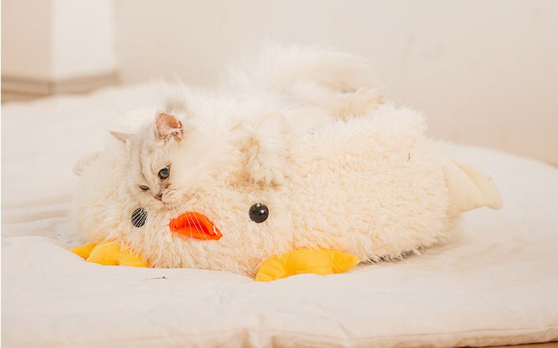 Lit pour chat Plum d'Oâą - Mi - a - ou - Mi - a - ou