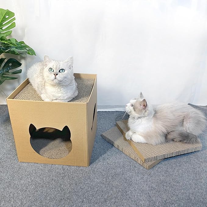Maison Pour Chat Chattack - Mi - a - ou