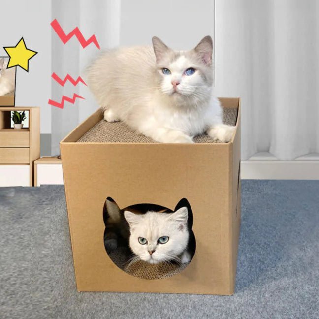 Maison Pour Chat Chattack - Mi - a - ou