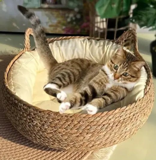 Panier pour chat Nid - de - Sieste - Mi - a - ou