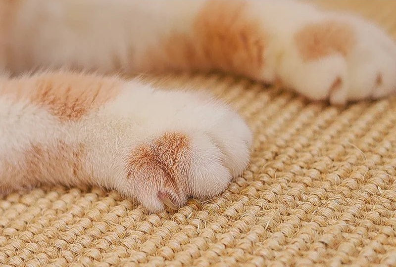 Tapis griffoir pour chat CatScratchMate - Mi - a - ou