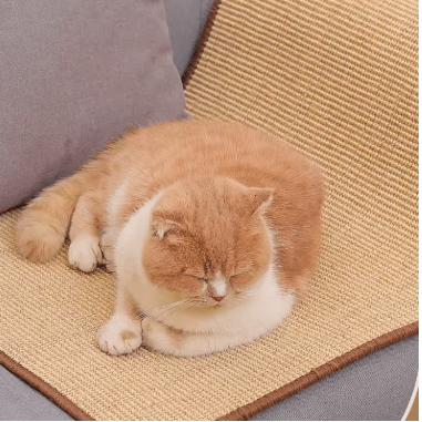 Tapis griffoir pour chat CatScratchMate™ - Mi - a - ou