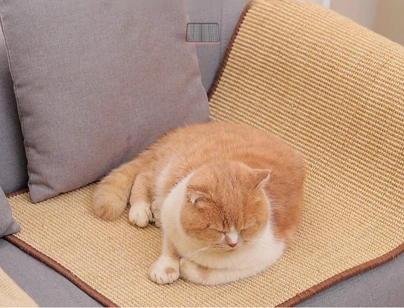 Tapis griffoir pour chat CatScratchMate - Mi - a - ou