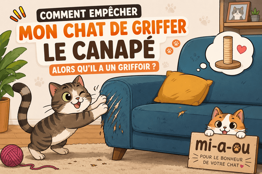 Comment empêcher mon chat de griffer le canapé alors qu’il a un griffoir ? - Mi-a-ou