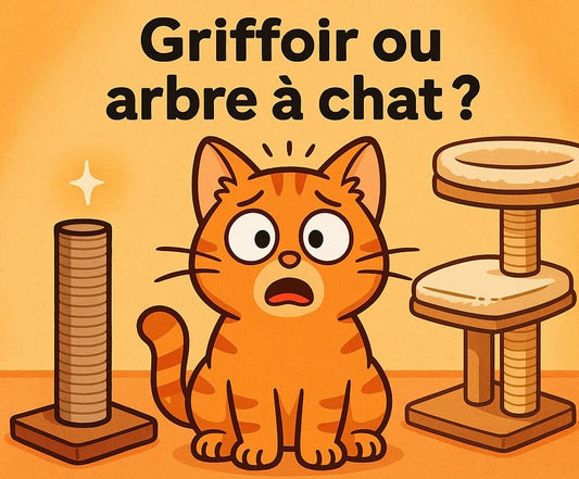 Griffoir ou arbre à chat : que choisir ?