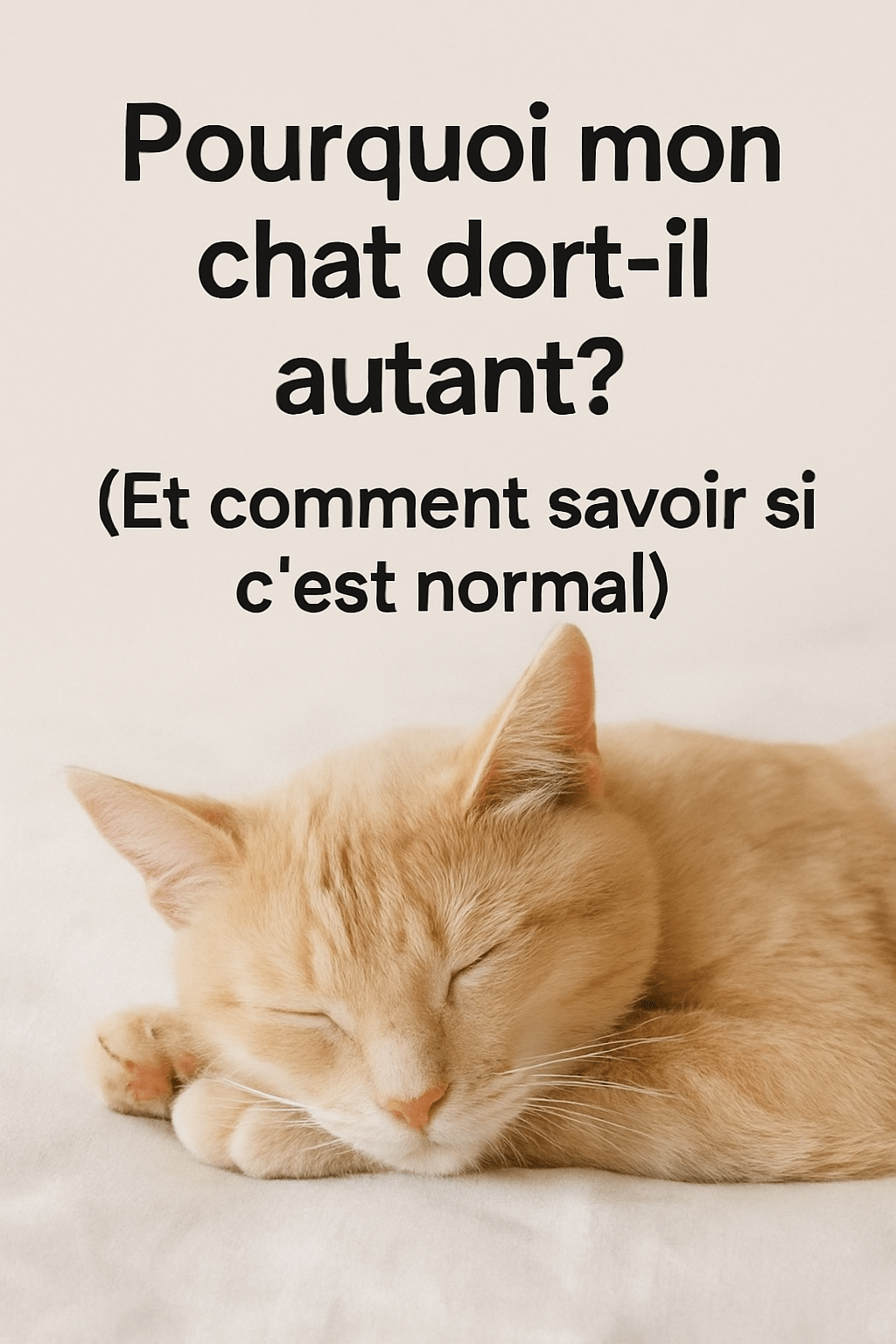 Pourquoi mon chat dort-il autant? (Et comment savoir si c’est normal)