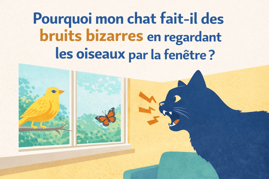Pourquoi mon chat fait-il des bruits bizarres en regardant par la fenêtre ? - Mi-a-ou