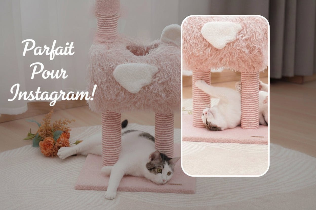 Arbre a chat FlamantGriff™ - Mi - a - ou - Mi - a - ou