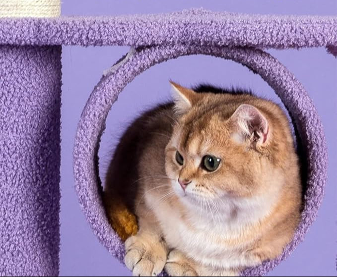 Arbre a chat NightPlay (Style 9) - Mi - a - ou