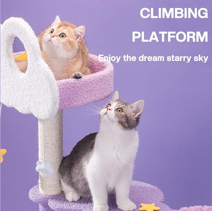 Arbre a chat NightPlay (Style10) - Mi - a - ou