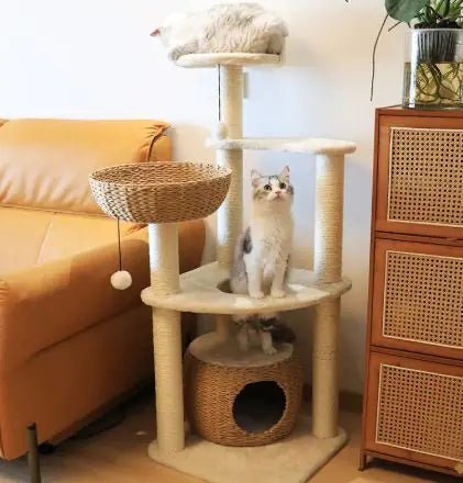 Arbres A Chat Canapat - Mi - a - ou
