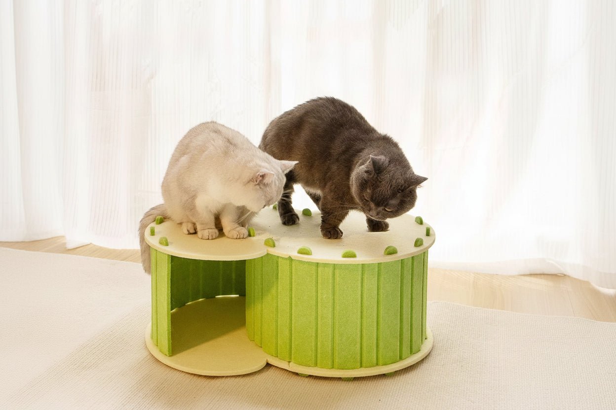 Cabane pour chat Cache - Tunnel™ - Mi - a - ou - Mi - a - ou