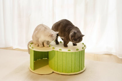 Cabane pour chat Cache - Tunnel™ - Mi - a - ou - Mi - a - ou