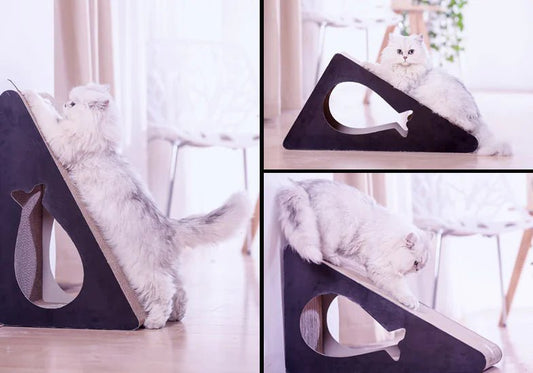 Griffoir Chat FishBoard - Mi - a - ou