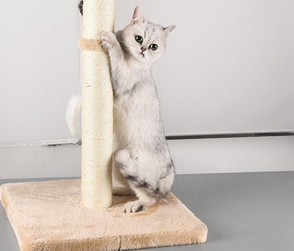 Griffoir Chat MiaouStick+ - Mi - a - ou