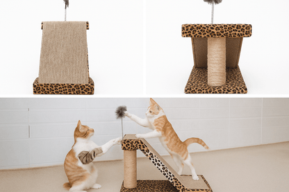 Griffoir Chat Scratch&Climb™ - Mi - a - ou