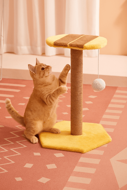 Griffoir Chat SweetFruit™ - Mi - a - ou