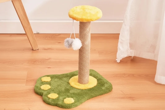 Griffoir Chat SweetPaw - Mi - a - ou