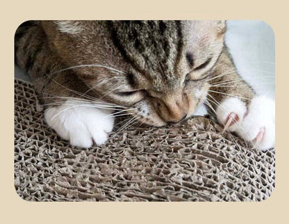 Griffoir Chat TriangleZen - Mi - a - ou