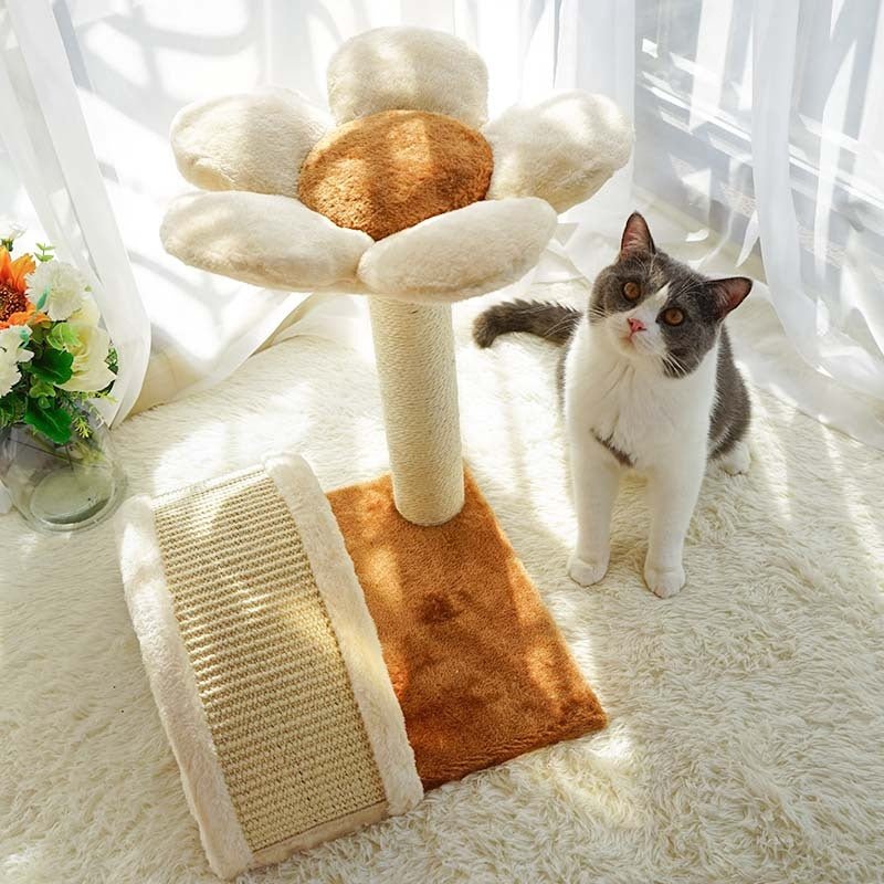 Griffoir pour chat Bloom Deluxe - Mi - a - ou