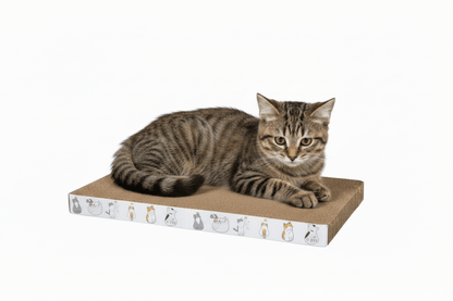 Griffoir pour chat en carton WavyBoard™ - Mi - a - ou