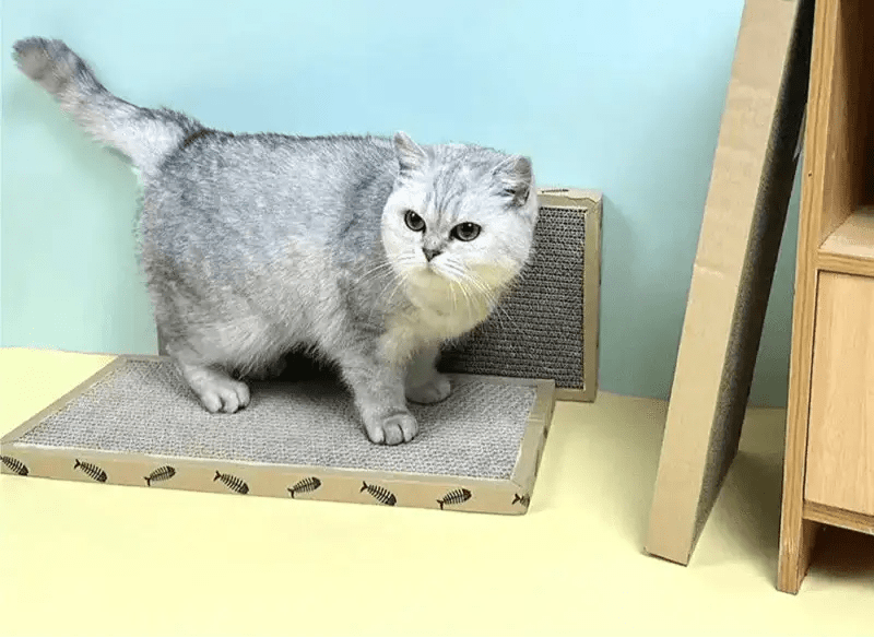 Griffoir pour chat Griff - board - Mi - a - ou