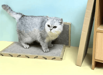 Griffoir pour chat Griff - board - Mi - a - ou