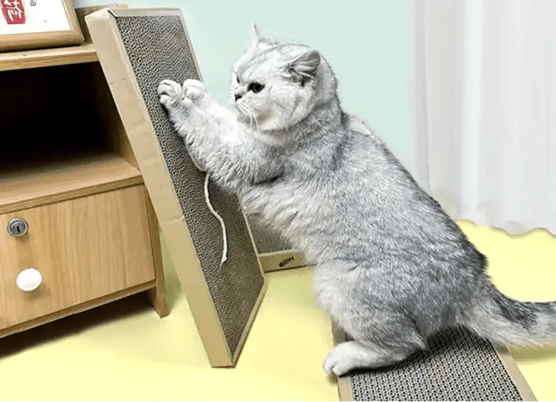 Griffoir pour chat Griff - board - Mi - a - ou