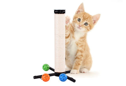 Griffoir pour chat Multifonctions Griff - é - Plus™ - Mi - a - ou