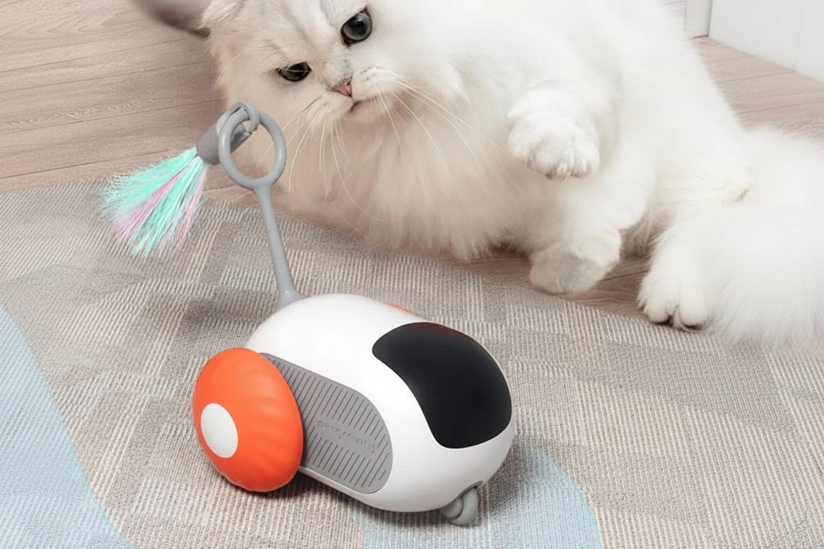 Jeu interactif télécommandé pour chat FastCat GT™ - Mi-a-ou