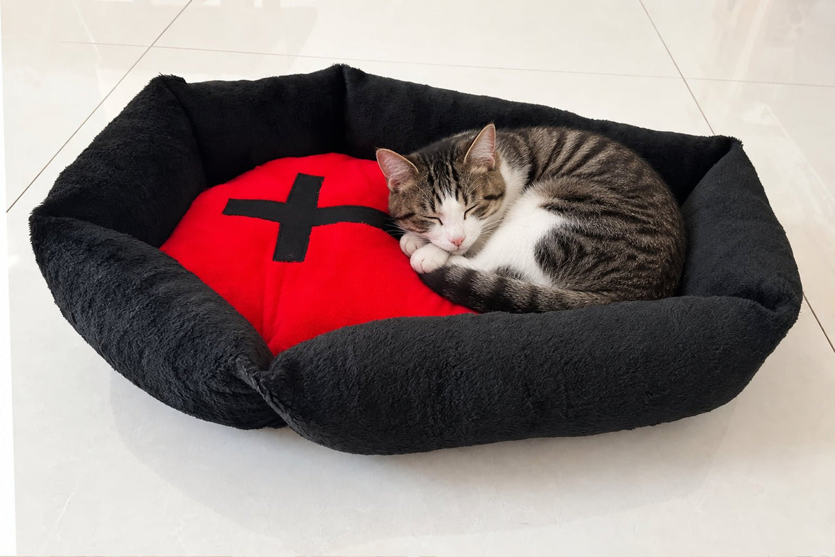 Lit pour chat Cercueil De Dracu-chat™ Mi-a-ou - Mi-a-ou