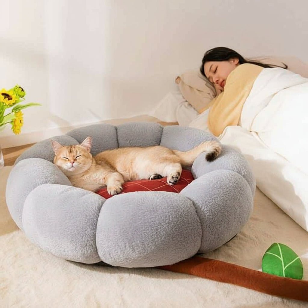 Lit pour chat MonstrO'fleur™ - Mi - a - ou - Mi - a - ou