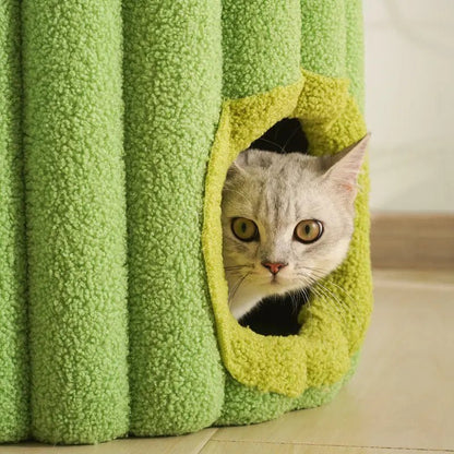 Maison Pour Chat CactusNap - Mi - a - ou