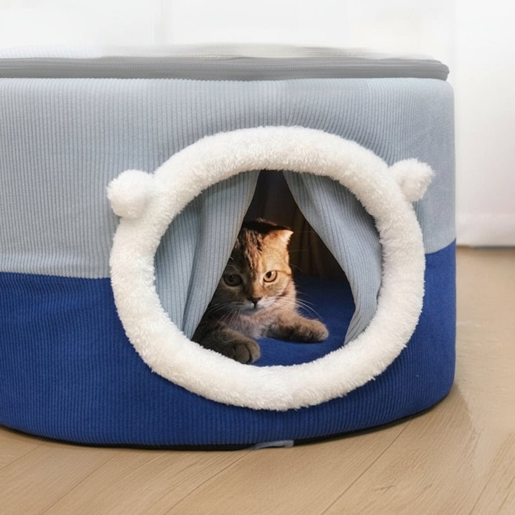 Maison pour chat Le Dodôme™ - Mi - a - ou