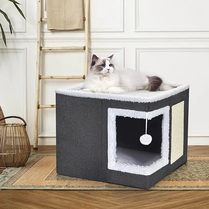 Maison Pour Chat SweetHome - Mi - a - ou